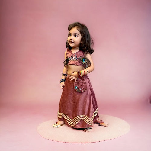 Pink Velvet embroidered Lehanga Choli Set With Purse