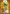 Green & White 2 piece Digital Print Kurta Pajama Set for Boys