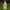 Apple Green Cotton Block Print Lace Long Dress For Girls