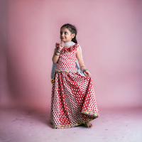 Thumbnail for Three Piece Cotton Block Print Red and White Traditional Lehnga/Chaniya Choli Dupatta Set For Girls