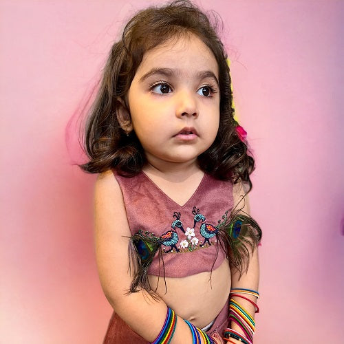 Pink Velvet embroidered Lehanga Choli Set With Purse