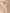Girls’ Peach & Green Palm Print Coord Set