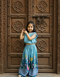 Thumbnail for Sky Blue 2 piece Digital Print Skirt & Top Set For Girls
