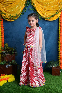 Thumbnail for Three Piece Cotton Block Print Red and White Traditional Lehnga/Chaniya Choli Dupatta Set For Girls