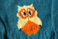 Thumbnail for Blue Woollen Hand Knitted Happy Owl Design Infant Pullover