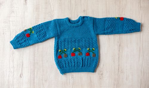Blue Full Sleeves Woollen Hand Knitted Happy Plants Design Infant Pullover