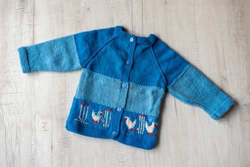 Blue Woollen Hand Knitted Front open Infant Sweater with Bird Design